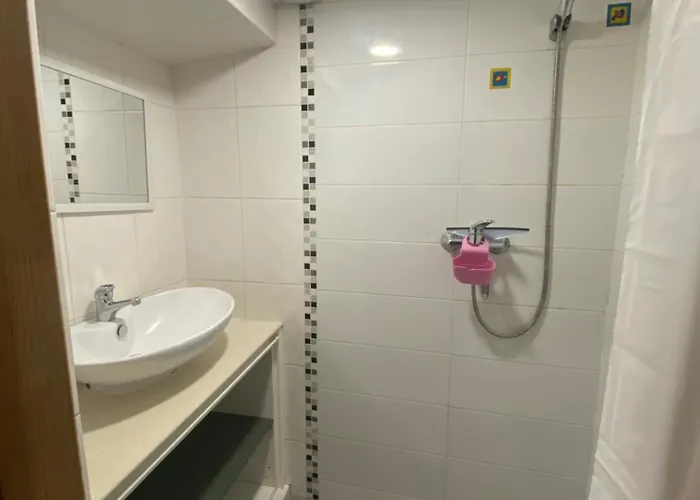 Lejlighed Paupio Krantas Vilnius